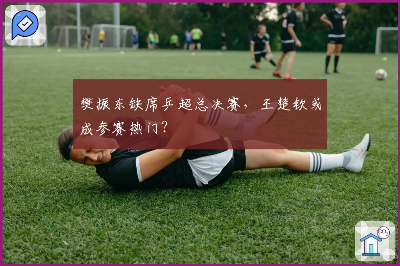 樊振东缺席乒超总决赛，王楚钦或成参赛热门？