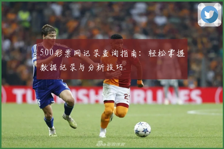 500彩票网记录查询指南：轻松掌握数据记录与分析技巧