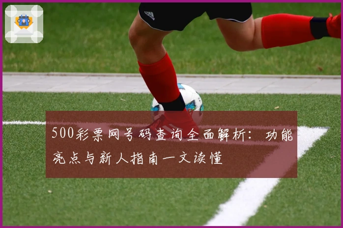 500彩票网号码查询全面解析：功能亮点与新人指南一文读懂